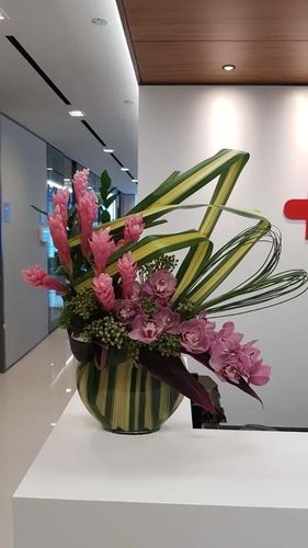 送客户办公室送什么,送客户办公室送什么花,送领导什么东西好?