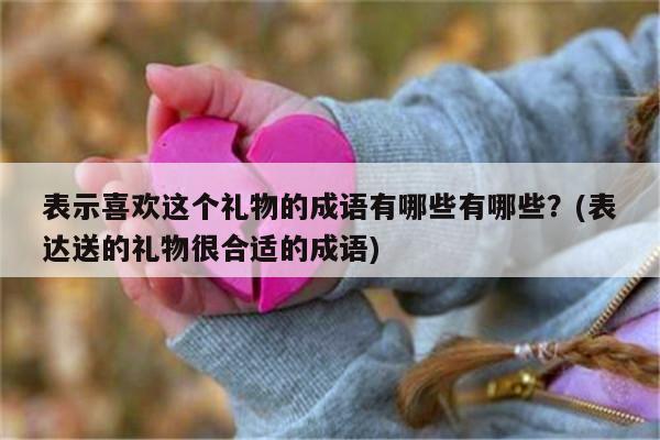 最好的礼品,最好的礼品是什么,最宝贵的礼物用成语如何表达?