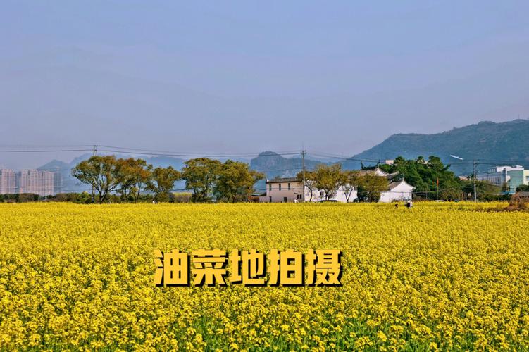 湖北礼品网,湖北 礼品,湖北工会春游能发奖品不?