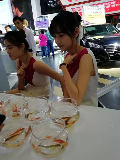 车展收礼品,,天津车展礼品赠送有什么?