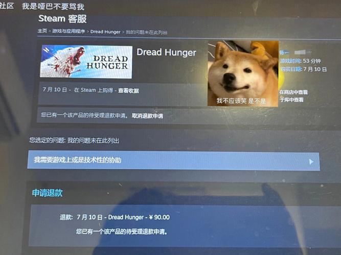 台湾小礼品，，请问一下，我买了一份中国区的steam游戏，然后我送给了一位台湾的朋友，但是他在台湾不能接受礼物？
