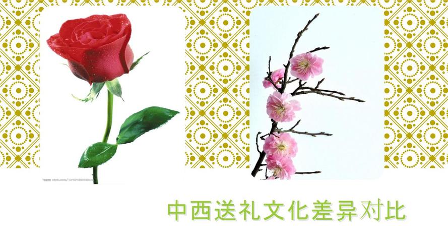 西方商务礼品选赠礼仪，中西方赠送礼物的礼仪，中西方商务礼仪问候差异原因？