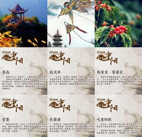 九九重阳节礼品名称，，重阳节八个习俗？