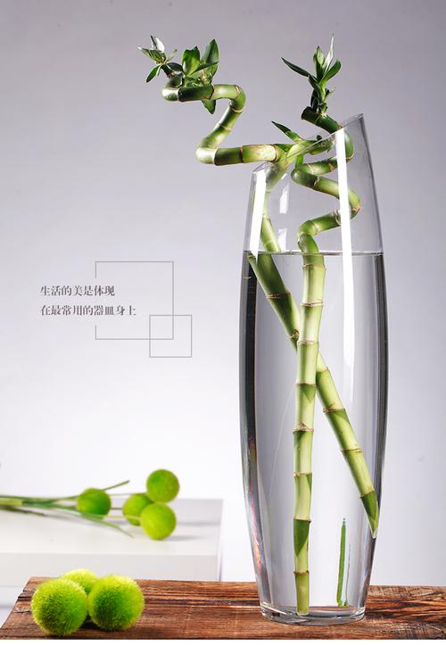 创意礼品花瓶，，两个花瓶一瓶富贵竹，一瓶放什么好？