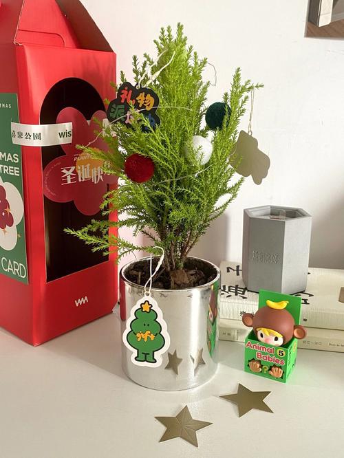环保礼品有什么，环保礼品有什么好处，植树节送什么礼物？