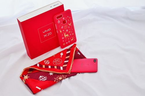 什么东西定制礼品，什么东西定制礼品好，vivos17专属定制礼盒都有什么？