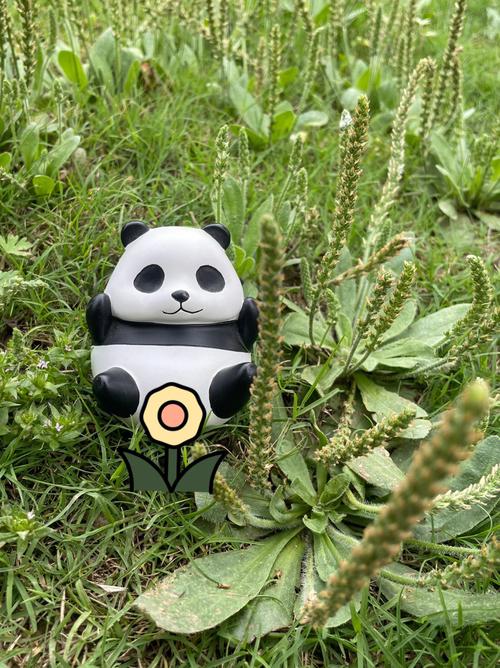 成都熊猫创意礼品，成都熊猫创意礼品公司，关于熊猫的礼物？
