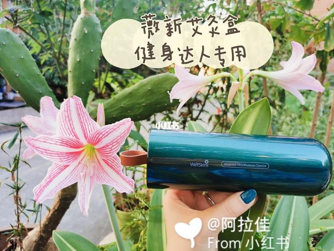 有关健身的礼品,有关健身的礼品有哪些,健康达人买什么奖品好,200一300元的?