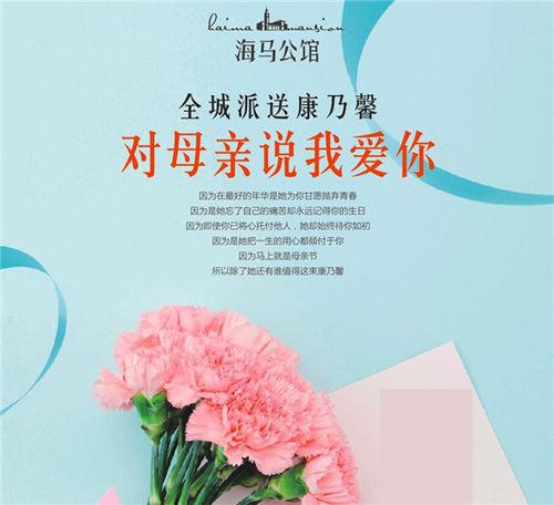 案场创意小礼品,,母亲节案场文案?