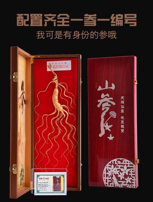 当做礼品送的人参,当做礼品送的人参好吗,70大寿送人参好吗?