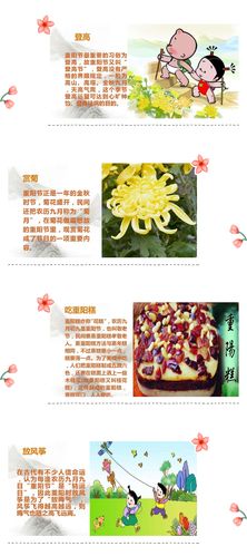北京重阳节礼品,北京重阳节有什么活动,重阳节的九个小知识?