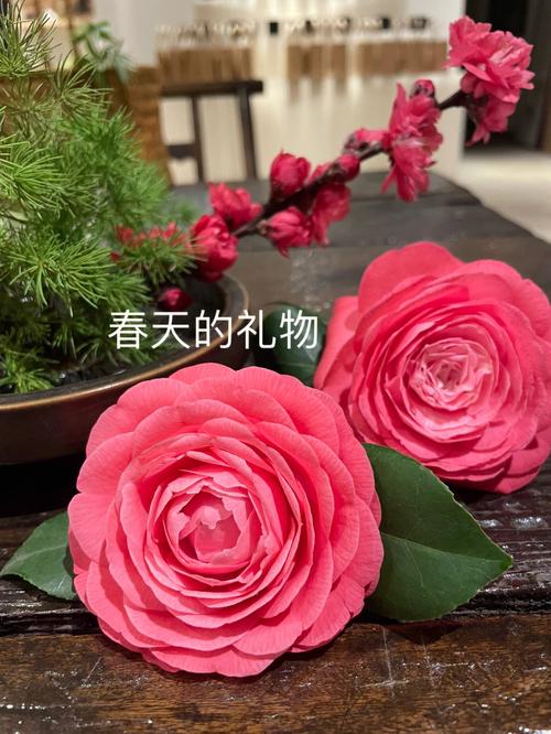 春天送什么礼物,春天送什么礼物好,冬天给春天送什么礼物?