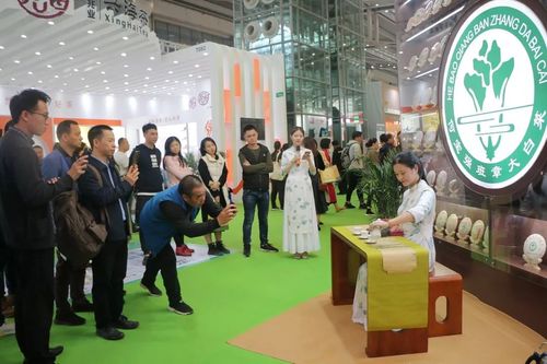 3月份礼品展会,,深圳茶博会2023有礼物吗?