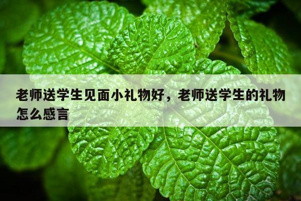 老师送学生见面小礼物好，老师送学生的礼物怎么感言