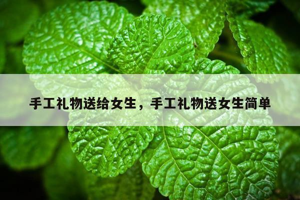 手工礼物送给女生，手工礼物送女生简单