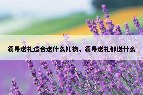 领导送礼适合送什么礼物，领导送礼都送什么