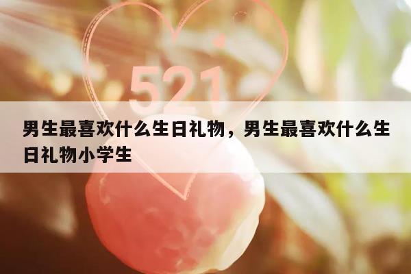 男生最喜欢什么生日礼物，男生最喜欢什么生日礼物小学生