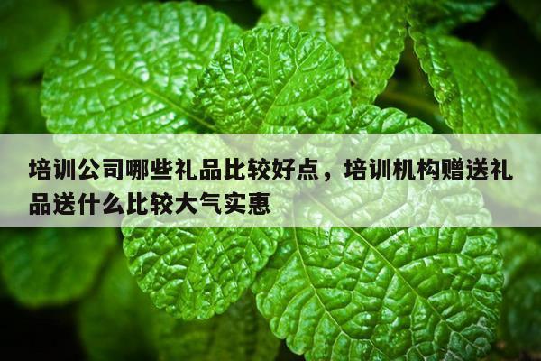 培训公司哪些礼品比较好点，培训机构赠送礼品送什么比较大气实惠