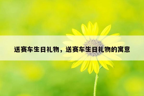 送赛车生日礼物，送赛车生日礼物的寓意