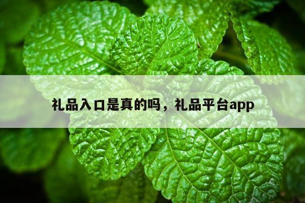 礼品入口是真的吗，礼品平台app