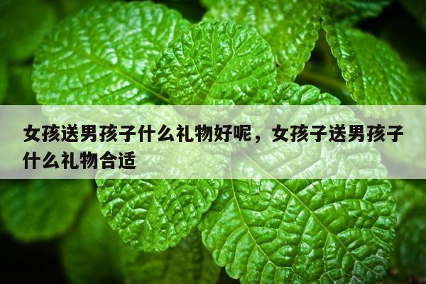 女孩送男孩子什么礼物好呢，女孩子送男孩子什么礼物合适