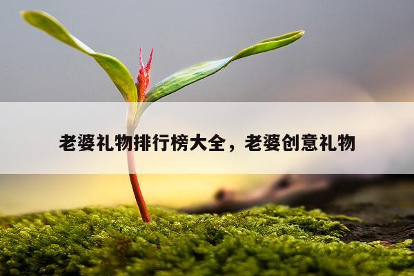 老婆礼物排行榜大全，老婆创意礼物