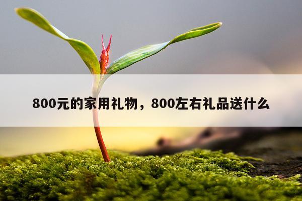 800元的家用礼物，800左右礼品送什么