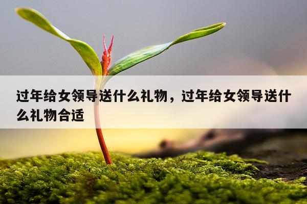 过年给女领导送什么礼物，过年给女领导送什么礼物合适