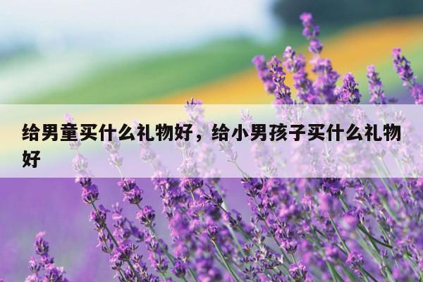 给男童买什么礼物好，给小男孩子买什么礼物好