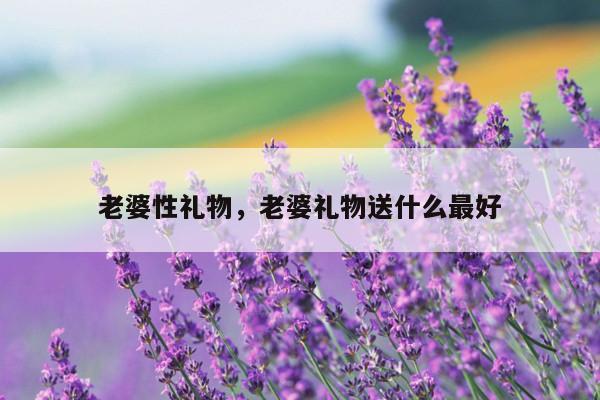 老婆性礼物，老婆礼物送什么最好