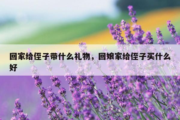 回家给侄子带什么礼物，回娘家给侄子买什么好