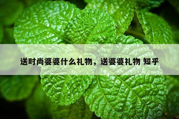 送时尚婆婆什么礼物，送婆婆礼物 知乎