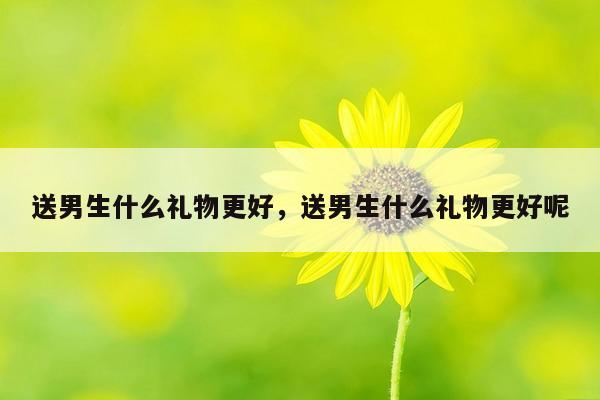 送男生什么礼物更好，送男生什么礼物更好呢