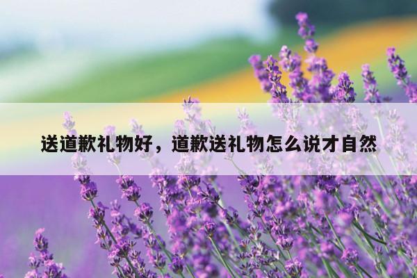 送道歉礼物好，道歉送礼物怎么说才自然
