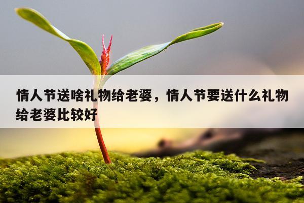 情人节送啥礼物给老婆，情人节要送什么礼物给老婆比较好