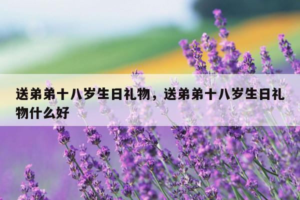 送弟弟十八岁生日礼物，送弟弟十八岁生日礼物什么好