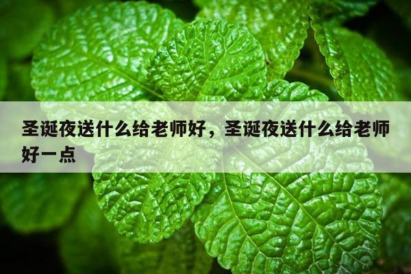 圣诞夜送什么给老师好，圣诞夜送什么给老师好一点