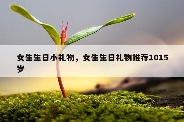 女生生日小礼物，女生生日礼物推荐1015岁