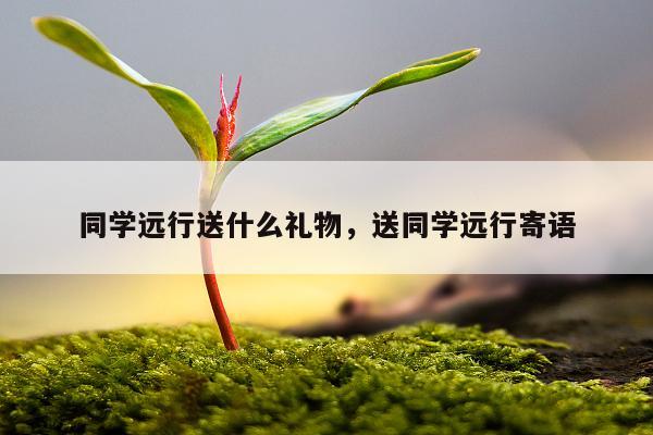 同学远行送什么礼物，送同学远行寄语