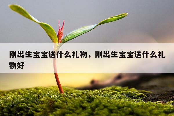 刚出生宝宝送什么礼物，刚出生宝宝送什么礼物好