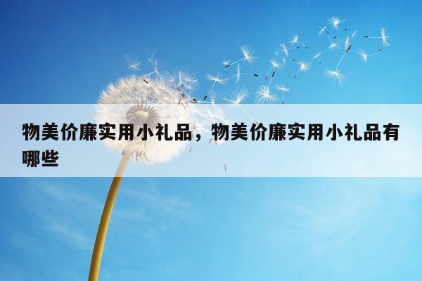 物美价廉实用小礼品，物美价廉实用小礼品有哪些