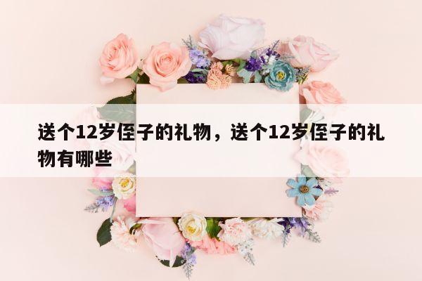 送个12岁侄子的礼物，送个12岁侄子的礼物有哪些