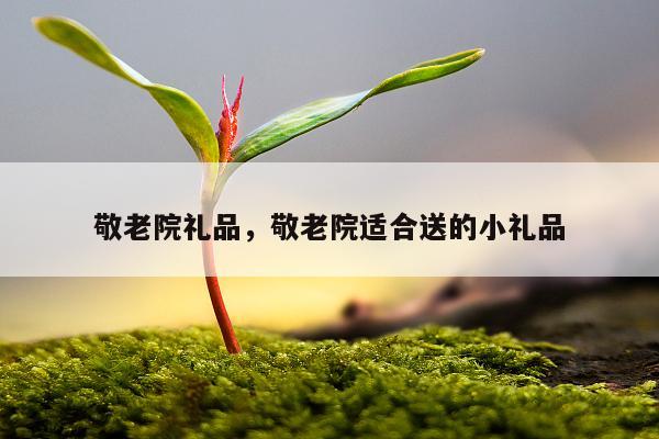 敬老院礼品，敬老院适合送的小礼品
