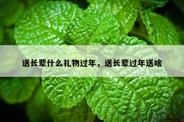 送长辈什么礼物过年，送长辈过年送啥