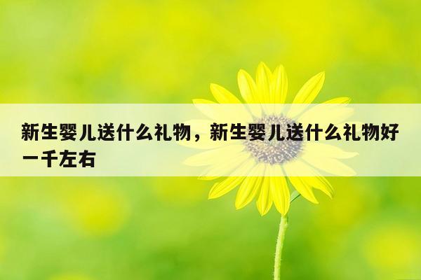 新生婴儿送什么礼物，新生婴儿送什么礼物好一千左右