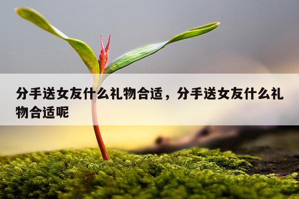 分手送女友什么礼物合适，分手送女友什么礼物合适呢