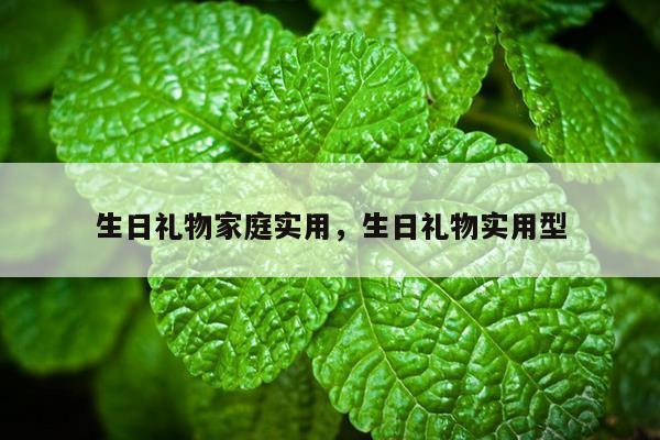 生日礼物家庭实用，生日礼物实用型