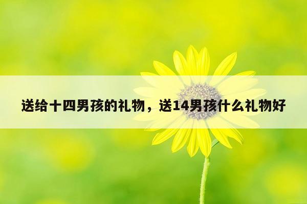 送给十四男孩的礼物，送14男孩什么礼物好