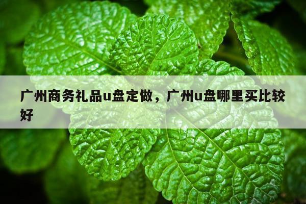 广州商务礼品u盘定做，广州u盘哪里买比较好