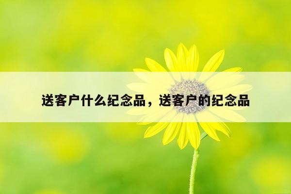送客户什么纪念品，送客户的纪念品